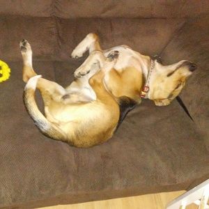 Meet your Posher, Shannon